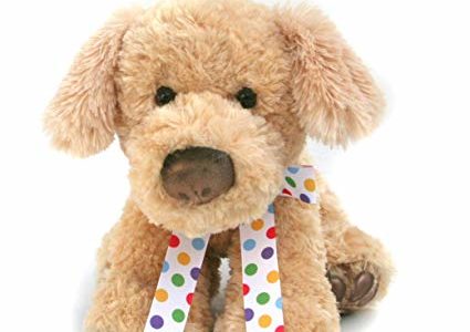 Birthday Stuffed Animal – Birthday Plush – Birthday Puppy Plush – Dog Stuffed Animal 13″ Tall – Birthday Gift For Kids – By Opal & Ivy Review